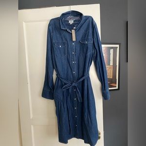 NWT J crew Pearl snap denim dress